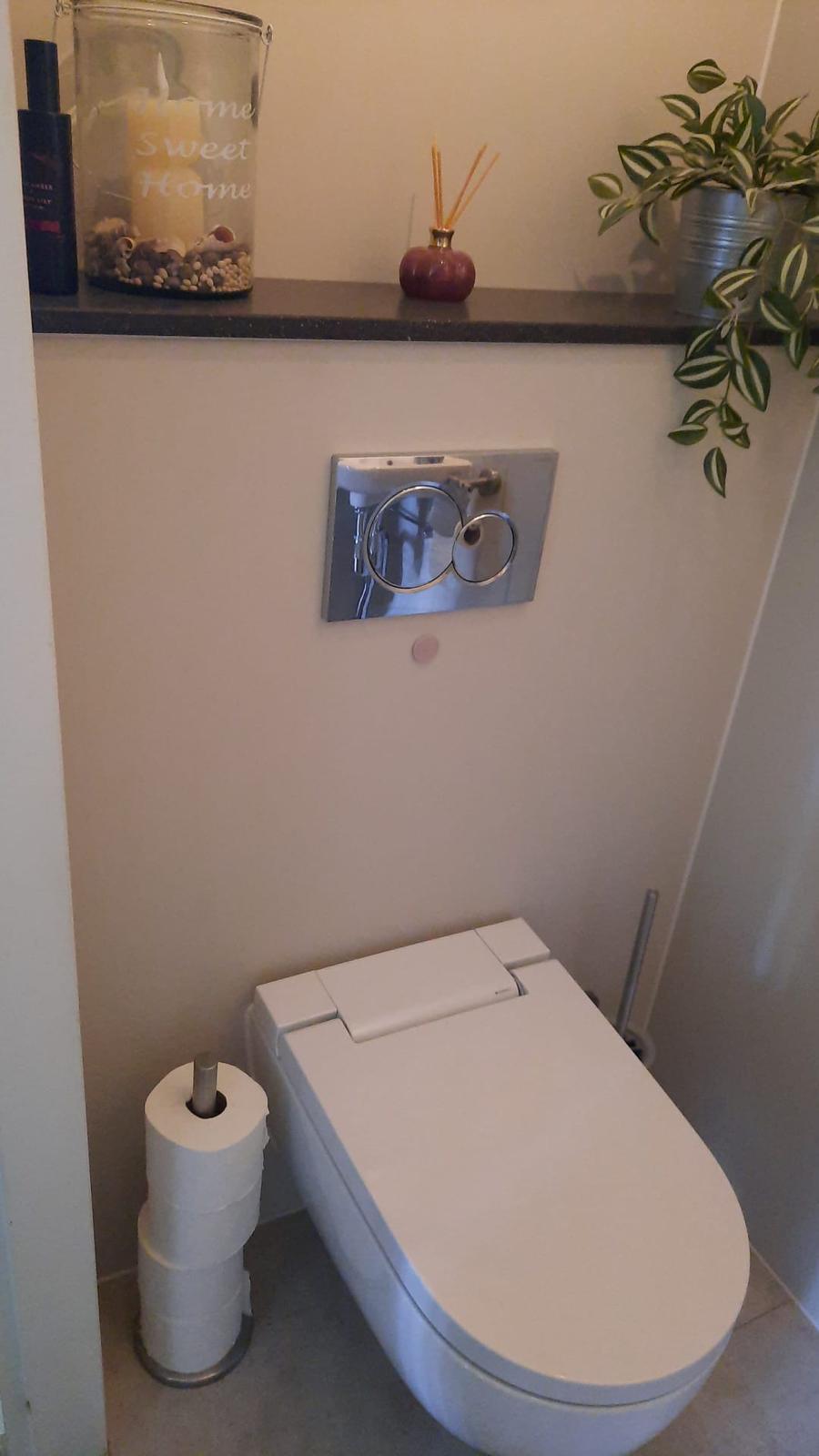 Complete toiletrenovatie